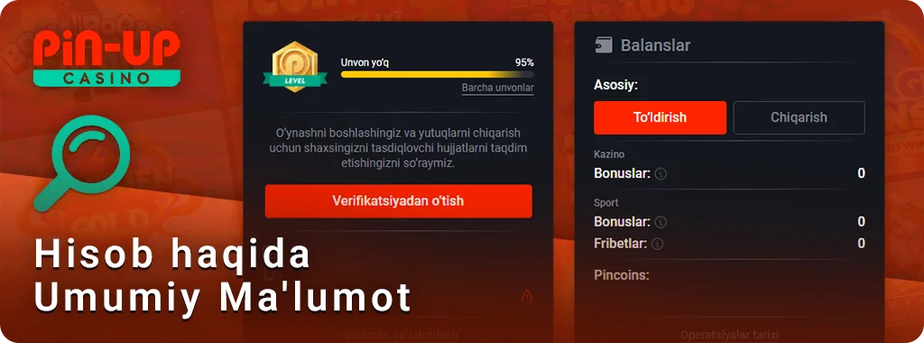 PIN Up o'yinchi profilini ko'rib chiqish-nimaga e'tibor berish kerak